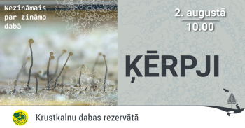 Lielāks foto