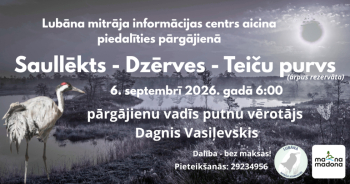 Lielāks foto